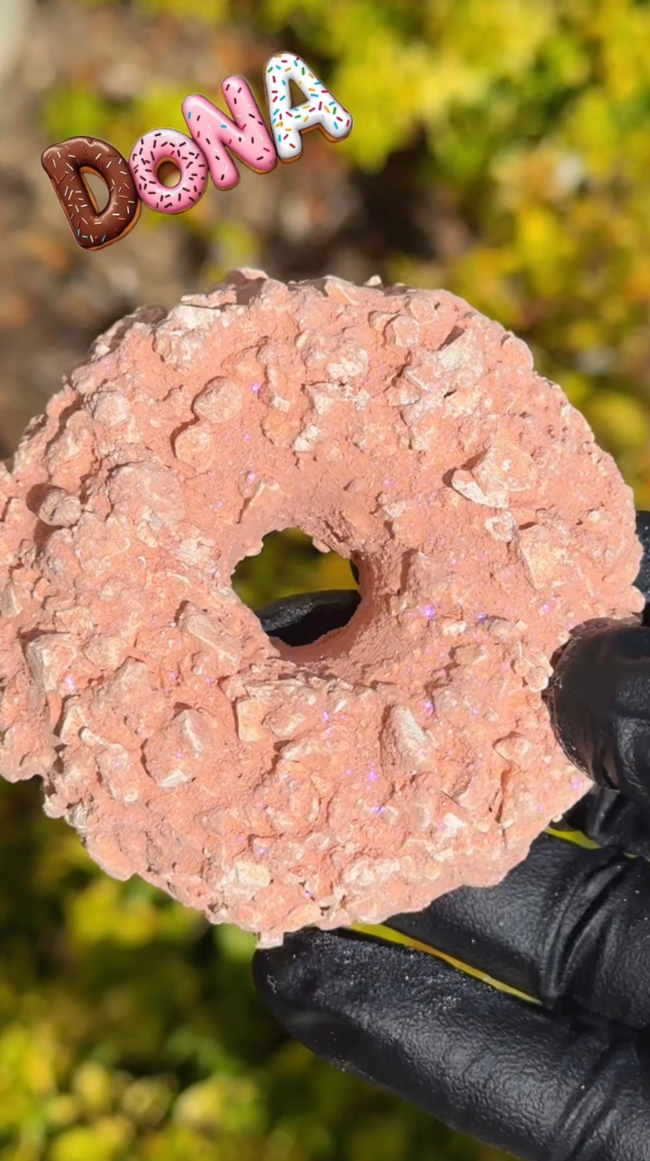 Pink Donut Almendra