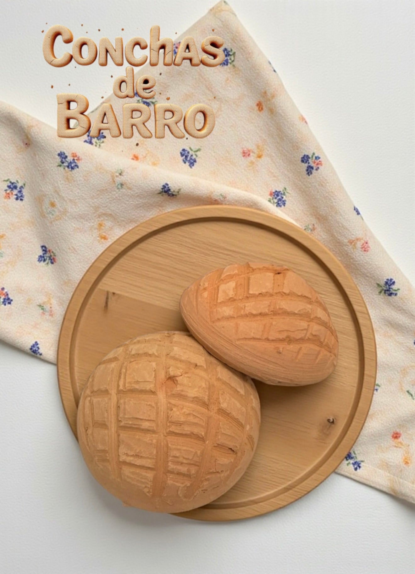 Conchas de Barro